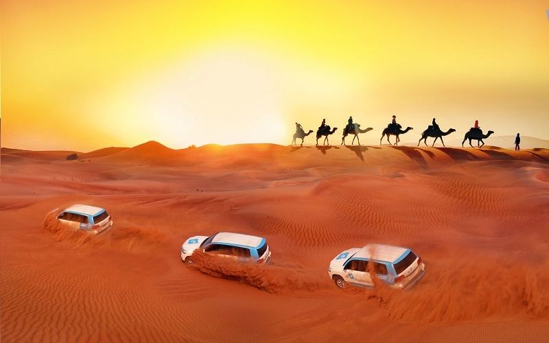 Trải nghiệm Sa mạc Safari tại Dubai 