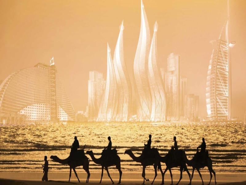 Những con lạc đà đi dạo trên bãi cát ở Dubai